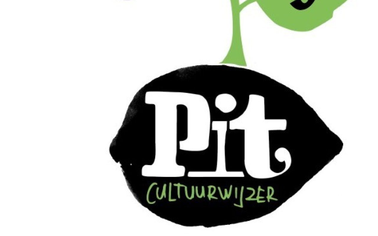 https://pitcultuurwijzer.nl/uploads/Pit-groeiboom-grote-cijfers-def-v4.jpg