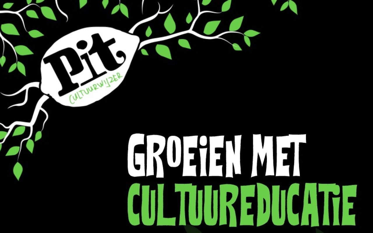 https://pitcultuurwijzer.nl/uploads/afbeelding-bij-vacature.jpg